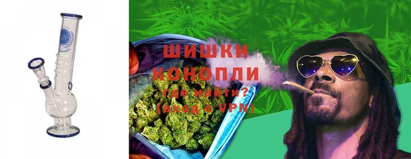 бошки Бронницы