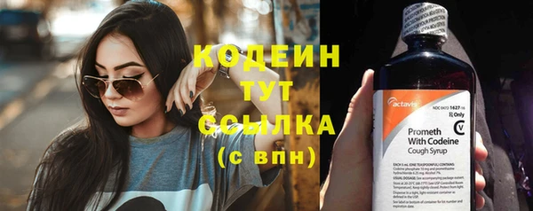 бошки Бронницы