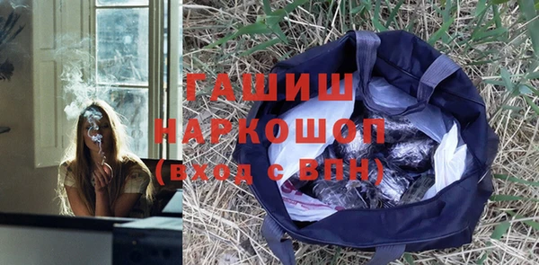 spice Бородино