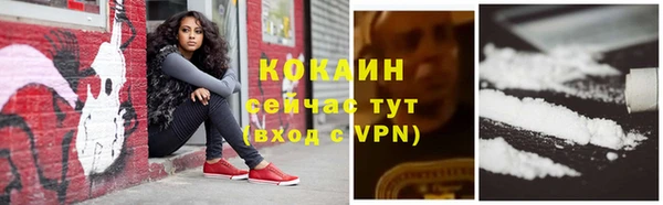 бошки Бронницы