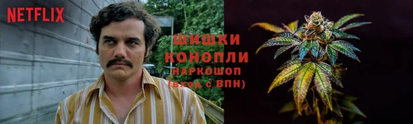 бошки Бронницы