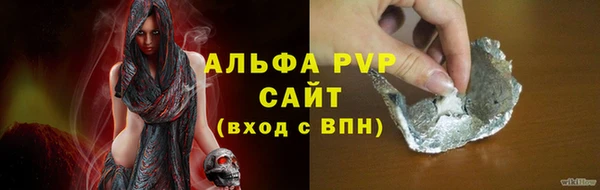 spice Бородино