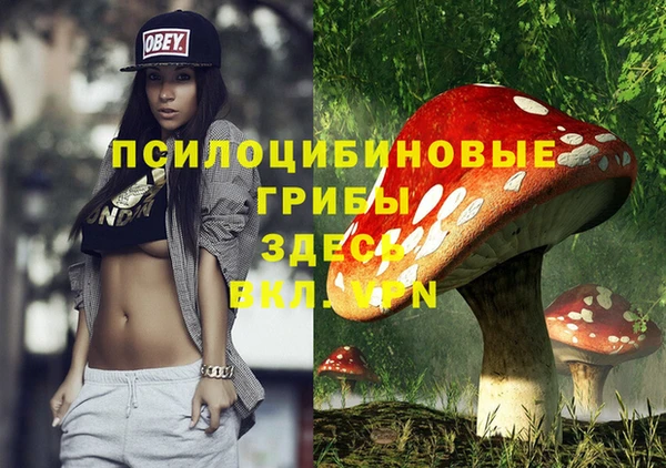 spice Бородино