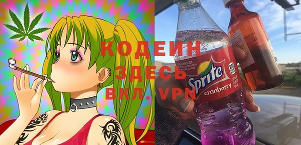 spice Бородино
